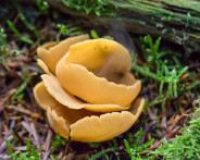 IMG_5066_LR
