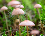 IMG_5118_LR-2