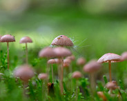 IMG_5127_LR