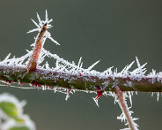 DSC03556_LR
