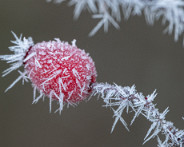 DSC03766_LR