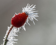 DSC04042_LR