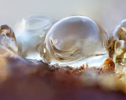 IMG_1952-1958
