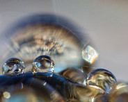 IMG_2053_LR