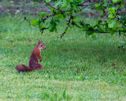 IMG_1916_LR