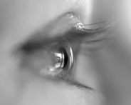 IMG_2003_LR-2