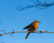 IMG_1255_LR