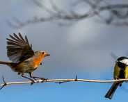 IMG_1440_LR