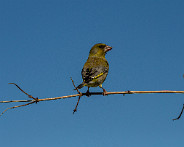 IMG_4027_LR