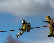 IMG_5926_LR
