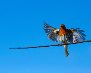 IMG_8313_LR