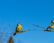 IMG_8866_LR