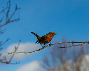 IMG_9035_LR