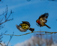 IMG_9052_LR