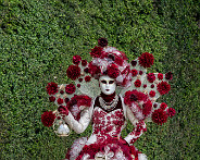 IMG_7570_LR