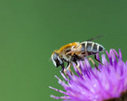 IMG_1582_LR