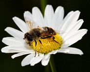 IMG_3394_DxO