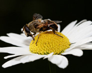 IMG_3398_DxO