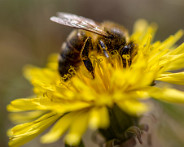 IMG_3841_LR