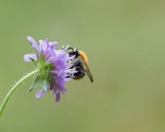 IMG_4453_LR