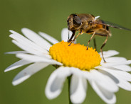 IMG_6426_LR