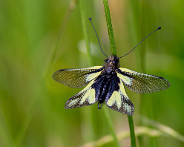 IMG_4189_LR