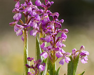 IMG_4694_LR