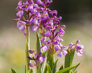 IMG_4880_LR
