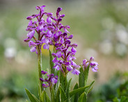 IMG_5097_LR