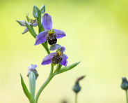 IMG_6066_LR