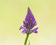 IMG_6072_LR