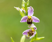 IMG_6170_LR