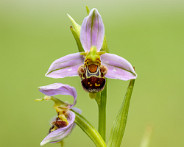 IMG_6619_LR