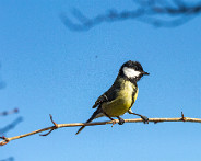 IMG_1259_LR
