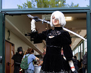 IMG_6985_LR